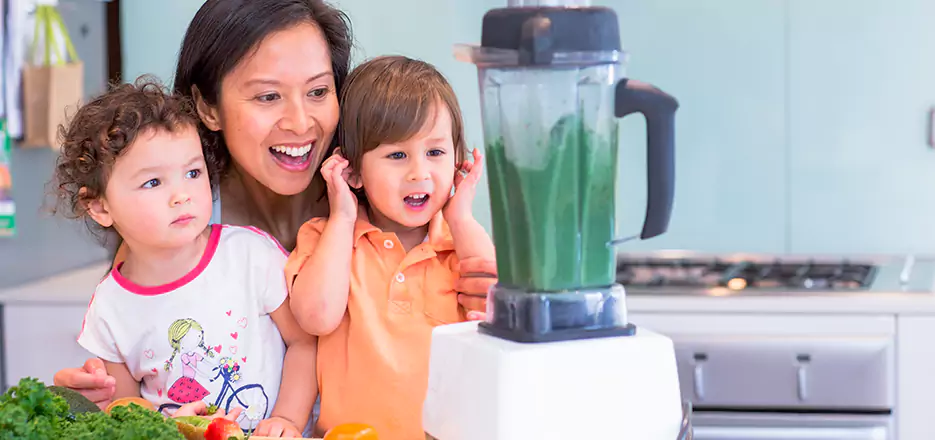 Juicer and Mixer Blender Repair in Haverhill